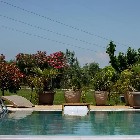 Zeusplace Pool Olympus Riviera Villa *